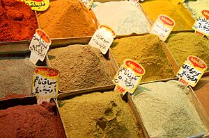 Archivo:Souq al-Bizuriyyah (Spice Souq) (2255374252)