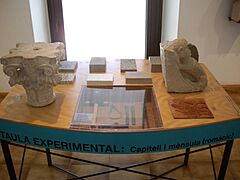 Taula experimental