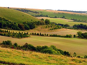 Archivo:The South Western Slopes of Walbury Hill - geograph.org.uk - 62332