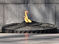 Unknown-soldier-sofia-2-fire