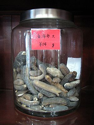 Archivo:Yokohama Chinese Medicine Sea cucumber 1