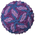 Zika-chain-colored