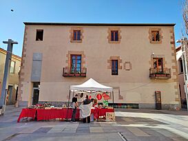 043 Biblioteca Can Pedrals, pl. Josep Maluquer i Salvador 8 (Granollers).jpg