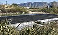 2. Assut de Cullera (entre Sueca i Fortaleny, País Valencià)