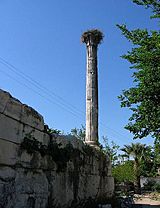 Ancient column stork nest Milas Turkey.jpg