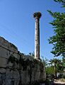 Ancient column stork nest Milas Turkey