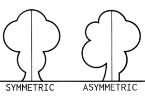 Archivo:Asymmetric (PSF)