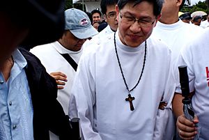 Archivo:Cardinal Tagle at Luneta 2013 1