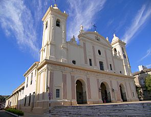 Archivo:Catedral de Asunción Paraguay
