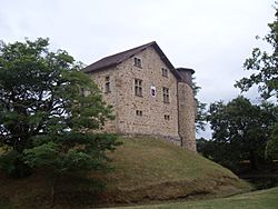 Château de Camou.JPG