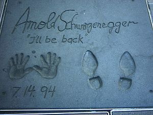 Archivo:Chth arnold schwarzenegger