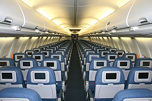 Archivo:Delta Air Lines Boeing 737-800 cabin