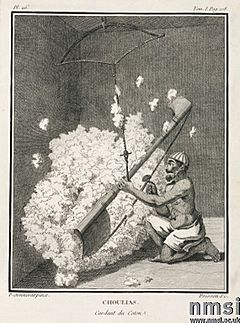 Archivo:Dhunuri Cotton-Carder India 1774-1781