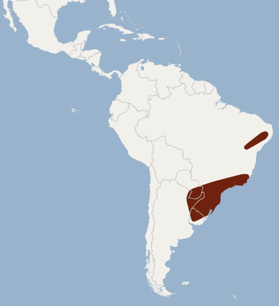 Distribution of Myotis ruber