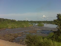 Dungu river.jpg