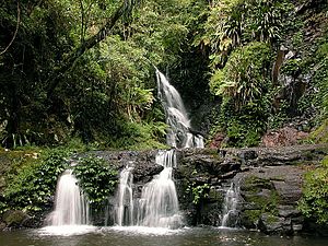 Archivo:Elabana Falls