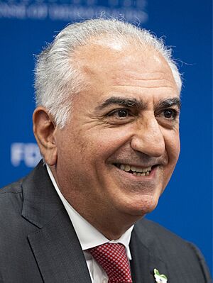 FDD Maximum Support Operationalizing the Other Iran Policy Event (54439540565) (cropped).jpg