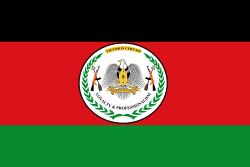 Flag of the SPLA (2011 to present).svg