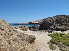 Golfo de California, Baja California Sur (21095853975).jpg