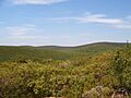 Highest Point here