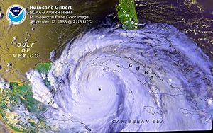 Archivo:Hurricane Gilbert
