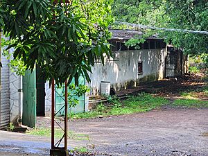 Archivo:Ingenio de Café Quezaltepeque