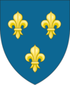 Insigne modernum Francum