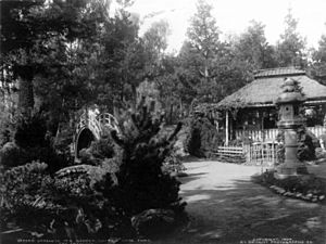 Archivo:Japanese Tea Garden, San Francisco 1904 cph.3b13301