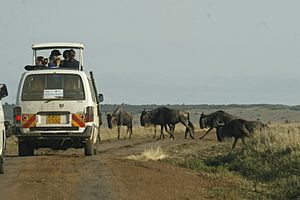 Archivo:Kenya safari