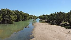 Looking downstream along the Flinders River while crossing on the Burke Developmental Road, Normanton, June 2019 02.jpg