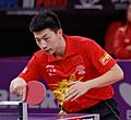 Ma Long 2013