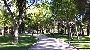 Archivo:Parque Polígono San Antón. Albacete