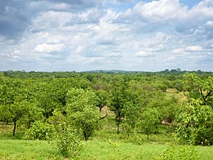 Archivo:Paysage du Parc Natianal de la Comoé (Nord-Est de la Côte d'Ivoire)