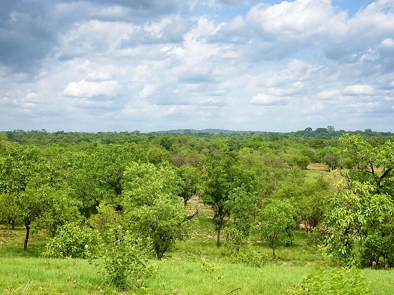 Paysage du Parc Natianal de la Comoé (Nord-Est de la Côte d'Ivoire)