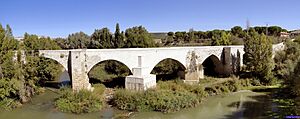 Archivo:Peñafiel (39093568542)