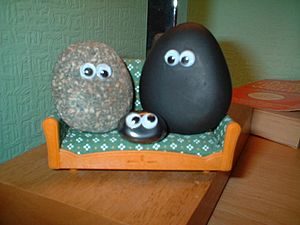 Archivo:Pet rock