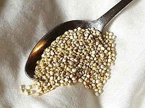 Archivo:Quinoa