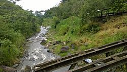 Archivo:Río en Chinacota NS