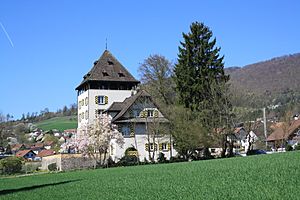 Archivo:Schloss Auenstein 8445