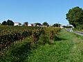Stcierscanesse vue1