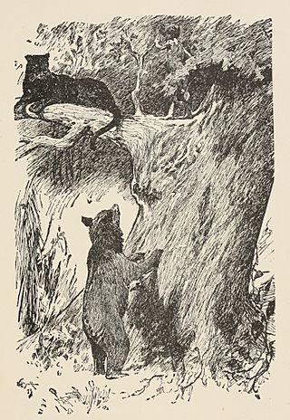 T2JB023 - Bagheera would lie out on a branch.JPG