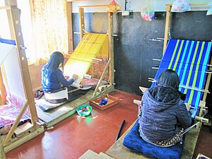 Archivo:Thimphu Kira Weaving 3 (23758550055)