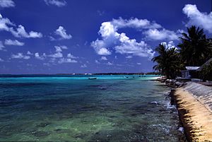 Archivo:Tuvalu Funafuti atoll beach