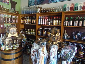 Archivo:Venta de tequila en Tequila Jalisco México.
