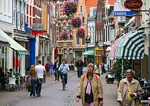 Archivo:011 Haarlem, Netherlands - Kleine Houtstraat