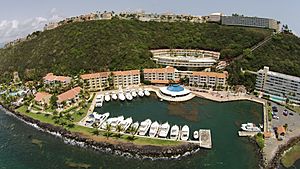 Archivo:Aerial view of El Conquistador Resort and Harbor