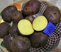 Andean black potato 2