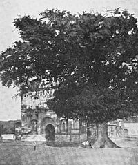 Archivo:AufAltenWegebMexicoGuatemala 1897 San Luis Jilotepeque