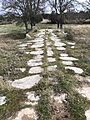 Calzada Mirandesa en la localidad de Sogo, municipio de Pereruela, Zamora, España 05