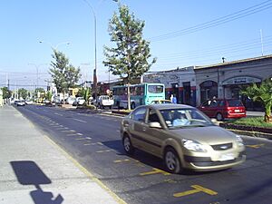 Archivo:Carrascal